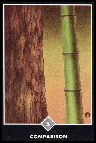 雲之五:比較/奧修禪卡 Osho Zen Tarot