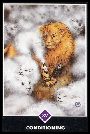 15. 制約/奧修禪塔羅 Osho Zen Tarot
