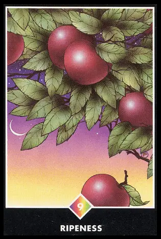 彩虹之九：成熟／奧修禪卡 Osho Zen Tarot