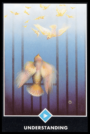 水之小兵：了解／奧修禪卡 Osho Zen Tarot